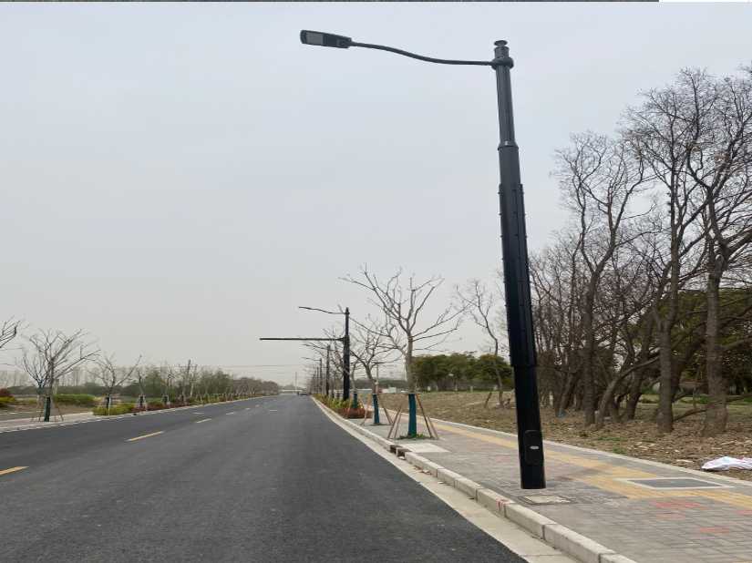 大安区上海综合杆 太阳能路灯工程